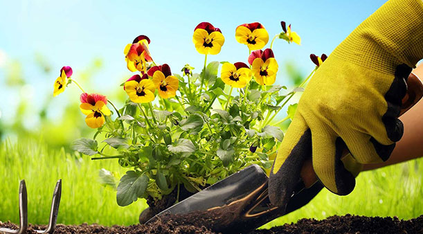 A quoi servent les gants de travail ?